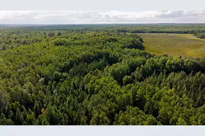 Tbd Boy Lake Drive NE, Remer, MN 56672 - Photo 5