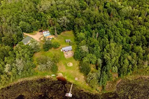 40669 Lows Lake Rd, Emily, MN 56447 - Photo 51