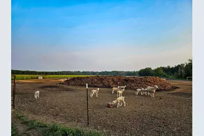 17430 280th St, Sebeka, MN 56477 - Photo 37