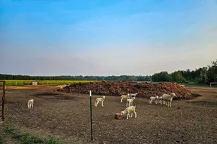 17430 280th St, Sebeka, MN 56477 - Photo 37