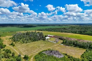 17430 280th St, Sebeka, MN 56477 - Photo 5
