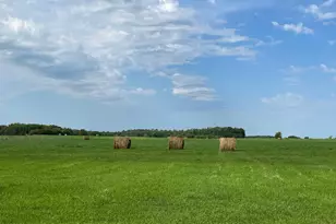 49404 109th Ave, Pine Lake Twp, MN 56644 - Photo 79