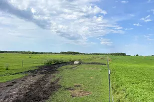 49404 109th Ave, Gonvick, MN 56644 - Photo 81