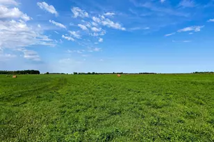 49404 109th Ave, Gonvick, MN 56644 - Photo 77