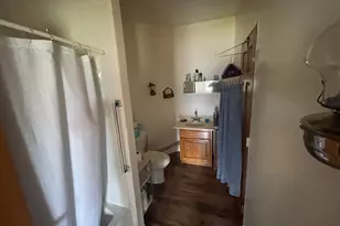 49404 109th Ave, Pine Lake Twp, MN 56644 - Photo 51