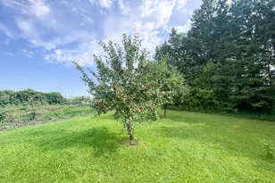 49404 109th Ave, Gonvick, MN 56644 - Photo 69