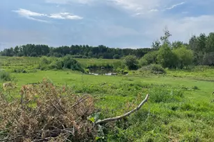 49404 109th Ave, Pine Lake Twp, MN 56644 - Photo 69