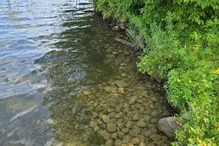 32408 Strawberry Ct, Sugar Bush E Twp, MN 56569 - Photo 3