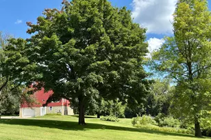 12326 Falk Trail, Northfield, MN 55057 - Photo 115