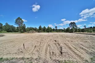 Tbd Park Dr, Menahga, MN 56464 - Photo 5