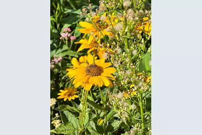 2019 Whiting Road NW, Bemidji, MN 56601 - Photo 7