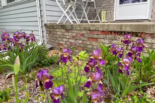 2019 Whiting Rd NW, Bemidji, MN 56601 - Photo 93