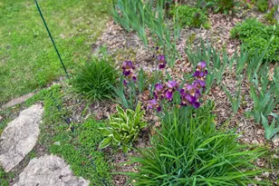 2019 Whiting Rd NW, Bemidji, MN 56601 - Photo 91