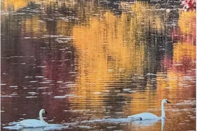 24140 W Fawn Road NE, Stacy, MN 55079 - Photo 37