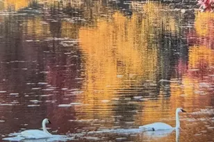 24140 W Fawn Rd NE, Stacy, MN 55079 - Photo 37