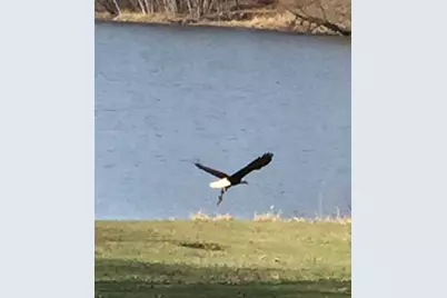 24140 W Fawn Road NE, Stacy, MN 55079 - Photo 41