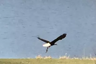 24140 W Fawn Rd NE, Stacy, MN 55079 - Photo 41