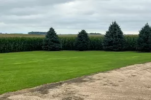 1669 211th Ave, Madison, MN 56256 - Photo 9