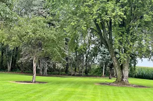 1669 211th Ave, Madison, MN 56256 - Photo 7