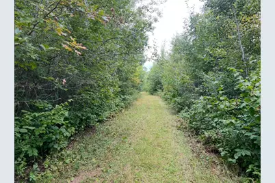 Lot 5 Butternut Road, Brainerd, MN 56401 - Photo 33