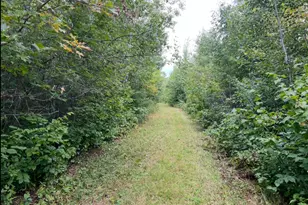 Lot 5 Butternut Rd, Brainerd, MN 56401 - Photo 33