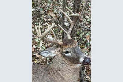 Lot 5 Butternut Road, Brainerd, MN 56401 - Photo 35