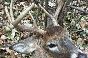 Lot 5 Butternut Rd, Brainerd, MN 56401 - Photo 35