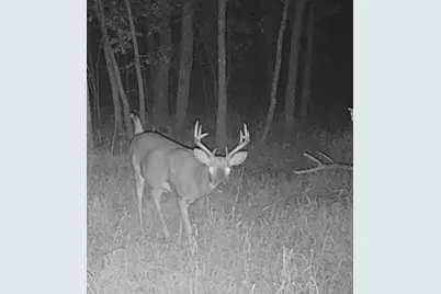 Lot 5 Butternut Road, Brainerd, MN 56401 - Photo 3