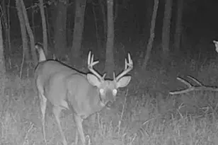 Lot 5 Butternut Rd, Brainerd, MN 56401 - Photo 3