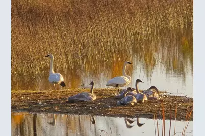 39949 Sunset Shores Road SE, Erskine, MN 56535 - Photo 97