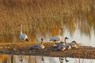 39949 Sunset Shrs Rd SE, Erskine, MN 56535 - Photo 97