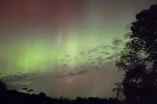 18112 Treasure Cove, Garrison, MN 56450 - Photo 41