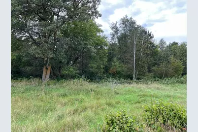 Tbd 112 Th, Fairview Township, MN 56473 - Photo 1