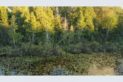 32118 E Gunn Lake Trail, Marcell, MN 56657 - Photo 39