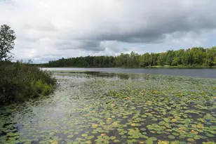 32118 E Gunn Lake Trail, Marcell, MN 56657 - Photo 55