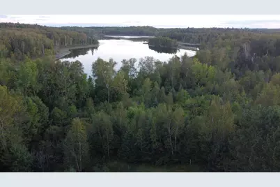 Parcel B E Gunn Lake Trail, Marcell, MN 56657 - Photo 1