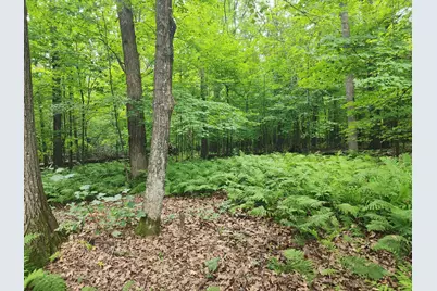 14870 River Island Road, Pine City, MN 55063 - Photo 17