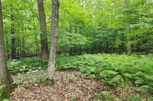 14870 River Island Rd, Pine City, MN 55063 - Photo 17