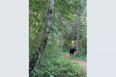 Tbd Whitetail Street, Trommald, MN 56441 - Photo 5