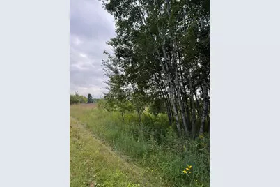 Tbd Whitetail Street, Trommald, MN 56441 - Photo 3