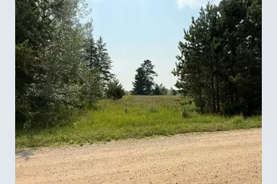 Tbd Pony Lake Road NW, Bemidji, MN 56601 - Photo 1