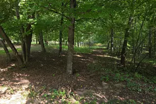 17135 200 St, Audubon, MN 56554 - Photo 13