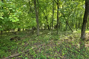 17135 200 St, Audubon, MN 56554 - Photo 15