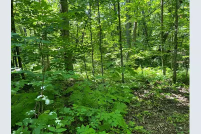 00000 River Island Road, Pine City, MN 55063 - Photo 25