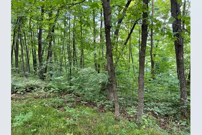 00000 River Island Road, Pine City, MN 55063 - Photo 5