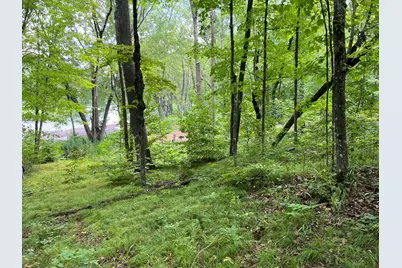 00000 River Island Road, Pine City Township, MN 55063 - Photo 9