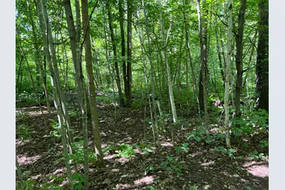 00000 River Island Road, Pine City Township, MN 55063 - Photo 23