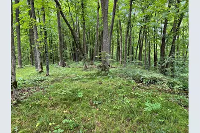 00000 River Island Road, Pine City Township, MN 55063 - Photo 7