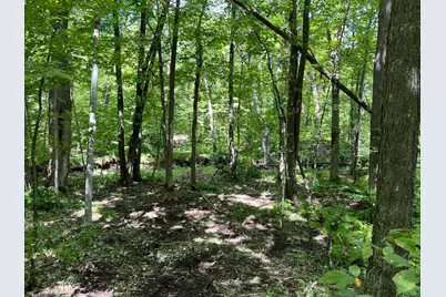 00000 River Island Road, Pine City, MN 55063 - Photo 19