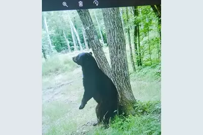 44384 Grace Lake Road, Ogema Twp, MN 55037 - Photo 71